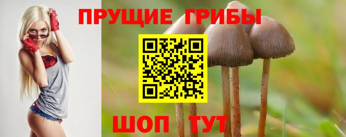 магазин продажи наркотиков  Вход с VPN  Новоалександровск  Галлюциногенные грибы ЛСД 